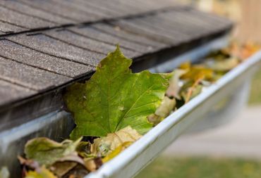 Cleaning Gutters