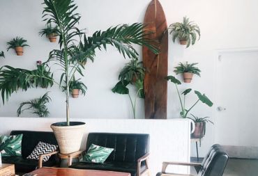 Commercial Maintenance